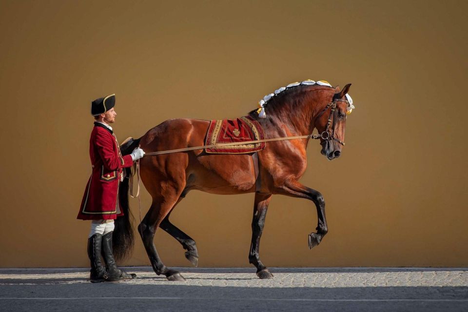 Lisbon: Morning of Equestrian Art With Lusitano Horses - Highlights of the Morning