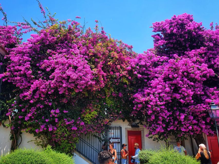 Lisbon: Old Town Tuk Tuk Tour - Highlights of the Tour