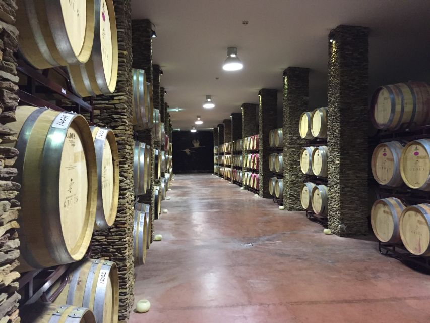 Lisbon: Private Evora Tour With Wine Tasting - Cork Factory Visit