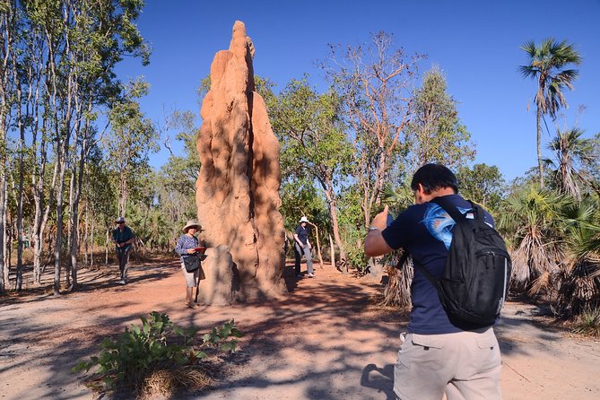 Litchfield and Jumping Crocodiles Full Day Trip From Darwin - Traveler Reviews