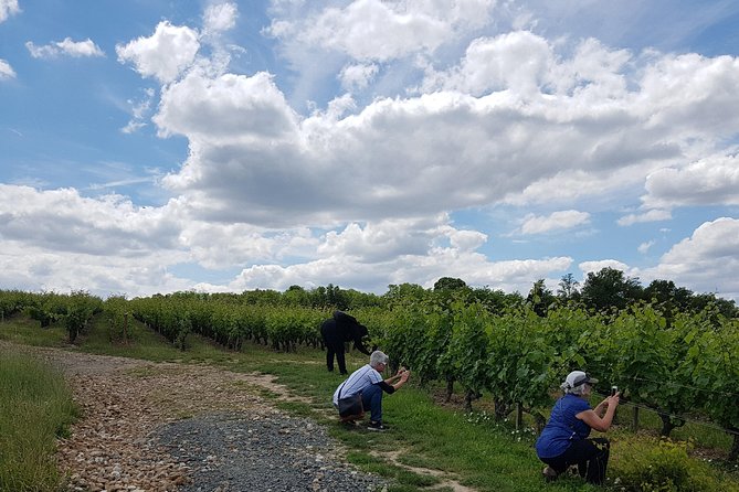 Loire Valley Half Day Wine Tour From Tours : Vouvray Wine Tasting - Pricing Information