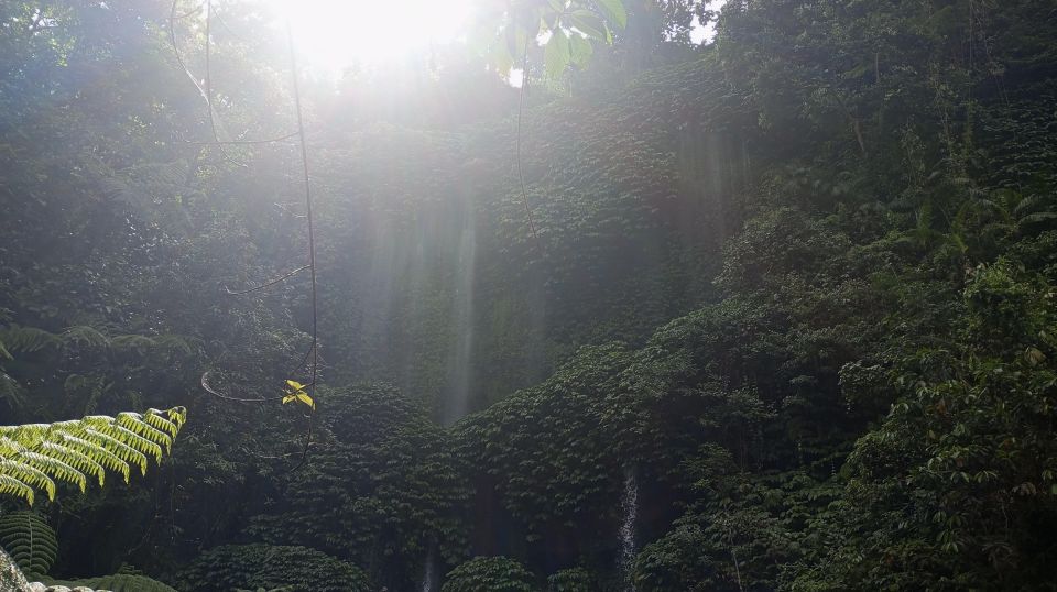 Lombok Day Trip: Waterfall, Rice Terrace, Bamboo Handycraft - Bamboo Handicraft Process