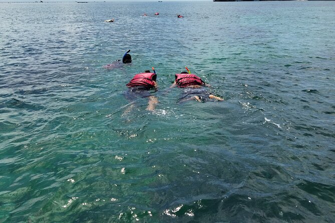 Lombok Pink Beach Trip, Gili Pasir, Gili Petelu - Private Tour - Pickup Details and Location