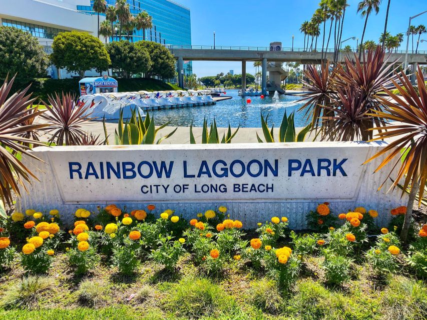 Long Beach: Swan Boat Rental at Rainbow Lagoon - LED Illuminated Night Ride