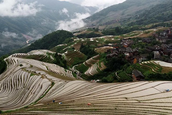 Longji Rice Terraces and Minority Village Day Tour - Traveler Experiences