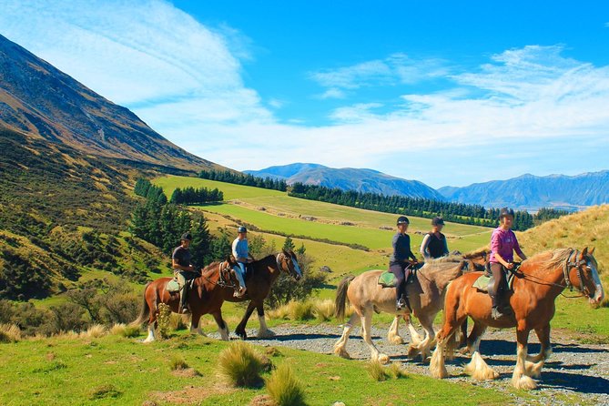Lord of the Rings High Country Station Pioneering Experience & Scenic Day Tour - Unique Activities Offered