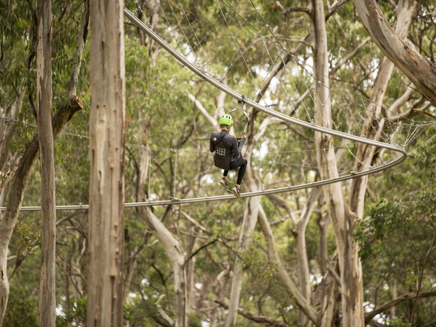 Lorne: Live Wire Park Ticket With Zip Line Rollercoaster - Directions to Live Wire Park