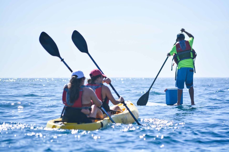 Los Cabos Arch & Playa Del Amor Tour by Glass Bottom Kayak - Scenic Views