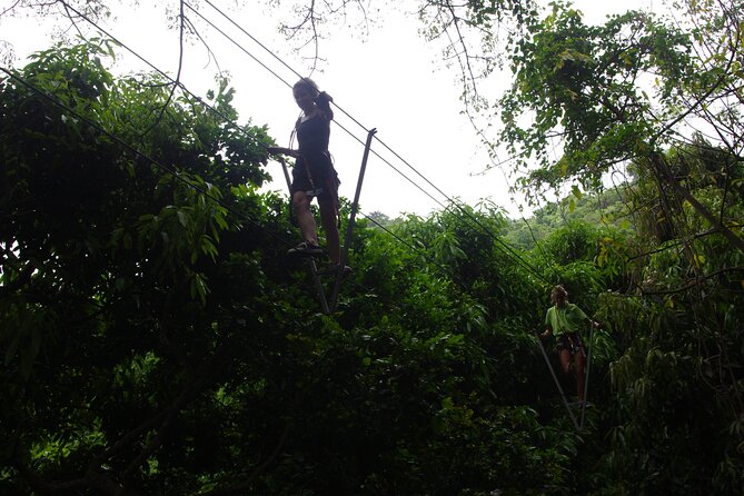 Loterie Farm: Fly Zone Treetop Zip-Line Adventure - Safety and Equipment