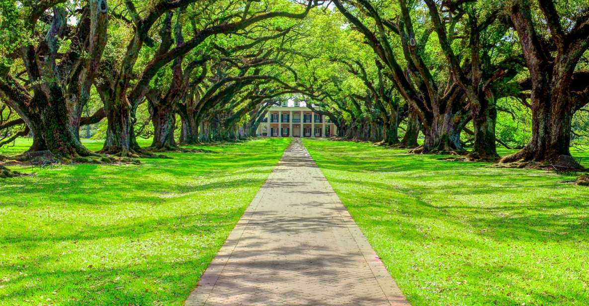 Louisiana Plantation Country Half-Day Tour - Oak Alley Plantation