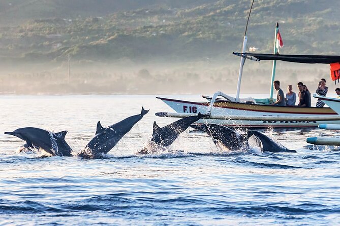 Lovina Dolphins Watching, Git Git Waterfall and Ulun Danu Tour - Pickup and Transportation Details