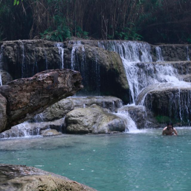 Luang Prabang Elepphant Keeper Bathe Option Kuangsi Tour - Customer Feedback