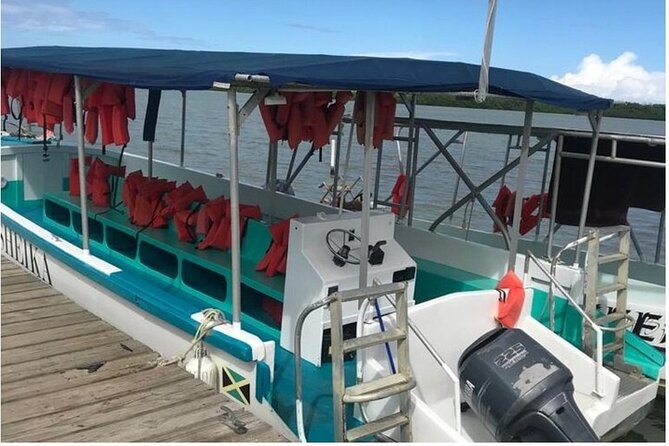 Luminous Lagoon Dark Night Tour From Ocho Rios and Runaway Bay Hotels - Tips for an Enjoyable Experience