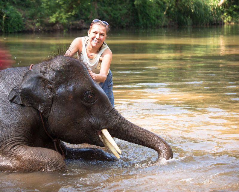 Luxury Chitwan Jungle Safari 4 Days Tour - Included Amenities