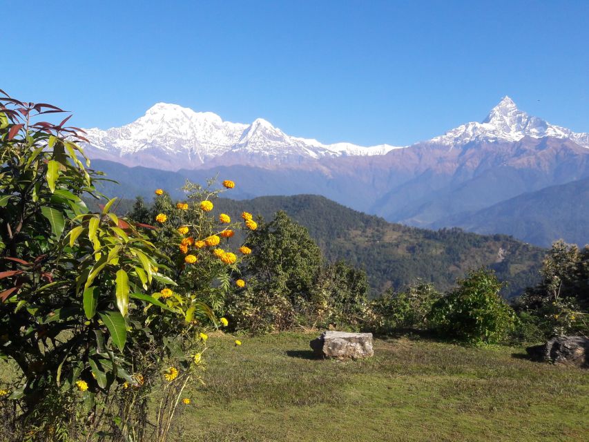 Luxury Excursion: Chitwan and Pokhara - Scenic Journey to Pokhara