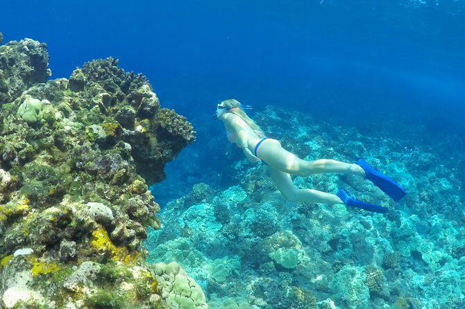 Luxury Kona Coast Snorkel Tour Including Lunch - Safety and Health Guidelines