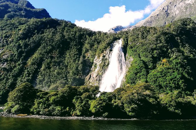 Luxury Milford Sound Coach and Scenic Cruise - Pricing Details