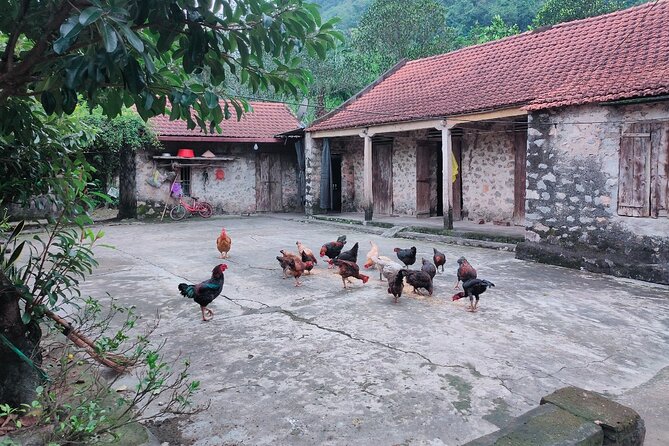 Luxury Ninh Binh Full Day Tour From Hanoi (Trang An - Hoa Lu) - Hoa Lu Ancient Capital