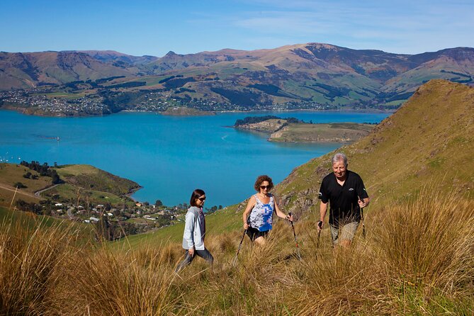 Luxury Private Guided Crater Rim Walk on Banks Peninsula - Accessibility Information