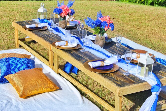 Luxury Private Picnic With Caribbean Cuisine - Accessibility Features