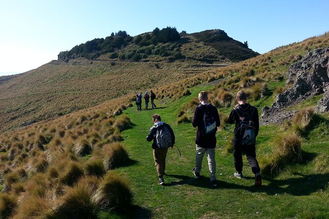 Lyttelton Shore Excursion -Guided Hiking Tour Packhorse Hut - What to Expect