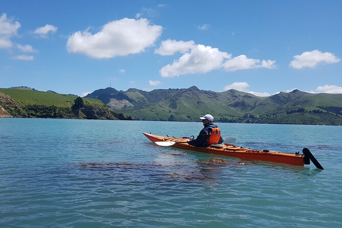 Lyttelton Shore Excursion - Sea Kayaking, Quail Island & Harbour - Booking Information