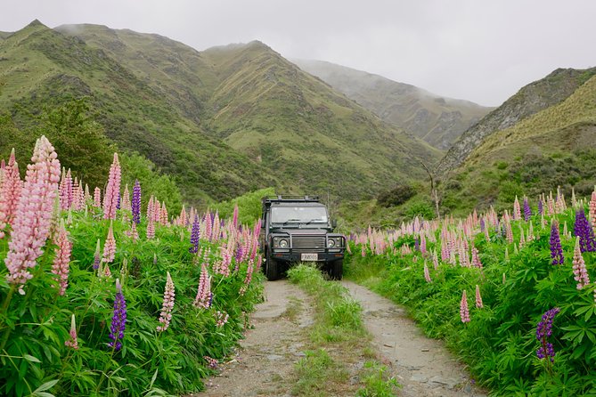 Macetown 4WD Tour From Queenstown - Exploring Macetown Ghost Town