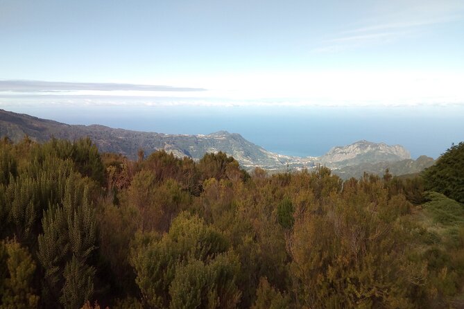 Madeira Half-Day Old Road West Sidecar Tour - Accessibility Features