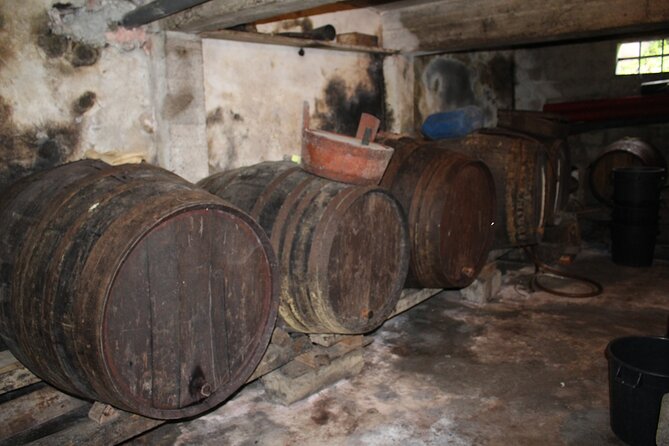 Madeira Island Private Wine Full-Day Tour in All Terrain Vehicle - Vehicle Information