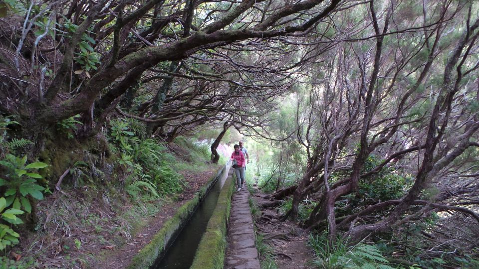 Madeira: Rabacal 25 Fountains Levada Walk & Cabo Girao - Exploring Rabacals Natural Wonders