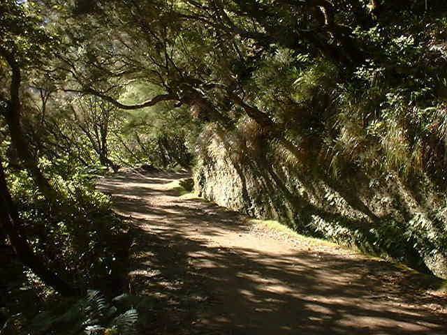 Madeira: Rabaçal Valleys 3-Hour Guided Walk - Directions and Recommendations