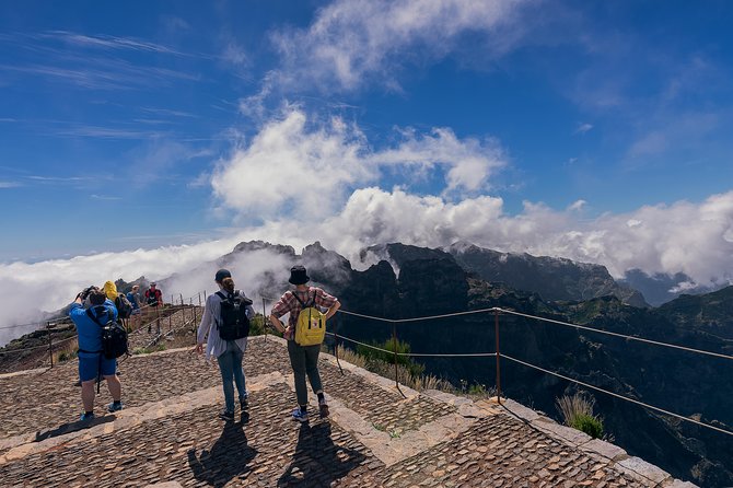 Madeira S Highest Peaks - Flora and Fauna