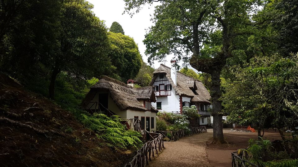 Madeira: Santana Traditional Houses Private Half-Day Tour - Taking in the Laurissilva Forest