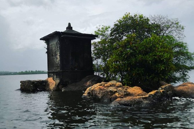 Madu River Boat Safari Balapitiya - Customer Feedback