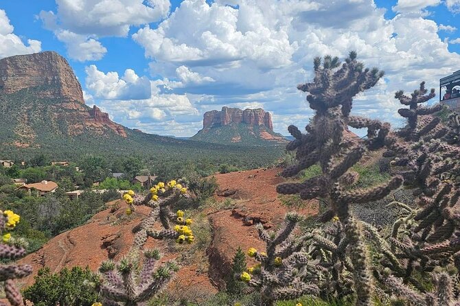 Magical Sedona Highlight Tour - Traveler Feedback