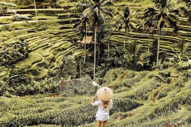 Magical Ubud Rice Terrace Tour (Private & All-Inclusive) - Important Tour Details