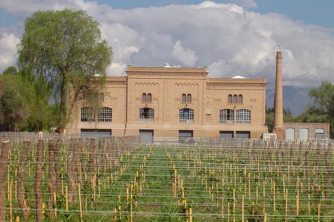 Maipú Wine-Tasting Tour From Mendoza Including Trapiche Winery - Customer Feedback