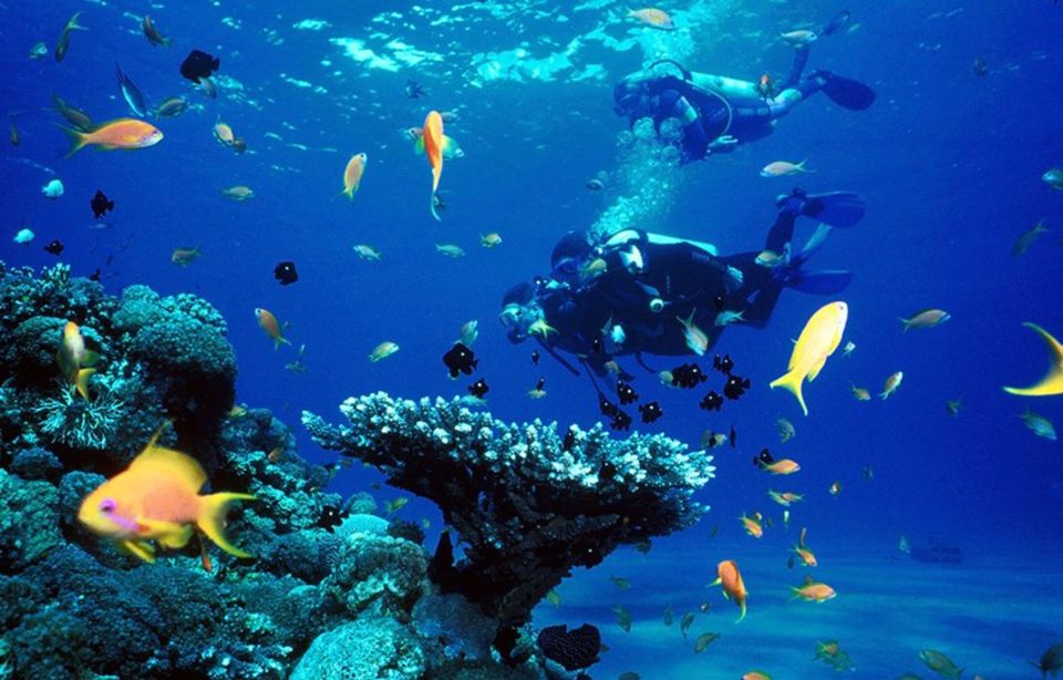 Maithon Private Island: Small Group Scuba Dive or Snorkeling - Coral Reefs and Marine Life Exploration