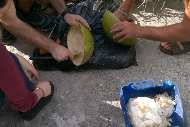 Make Your Own Wooden Bowl From the Fruit of Calabash, National Tree of St Lucia - Tools and Materials Needed