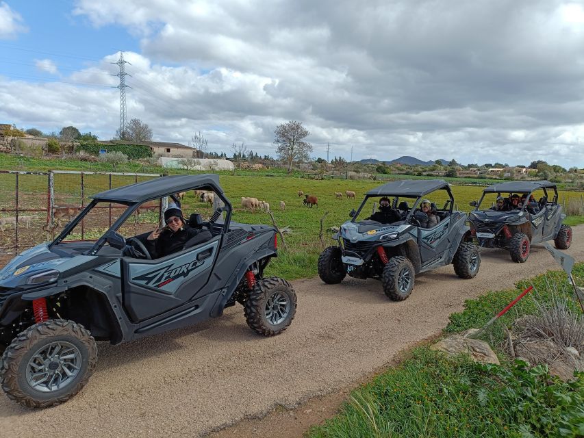 Mallorca: Mountain Buggy Adventure With Secret Coves Tour - Breathtaking Panoramic Views