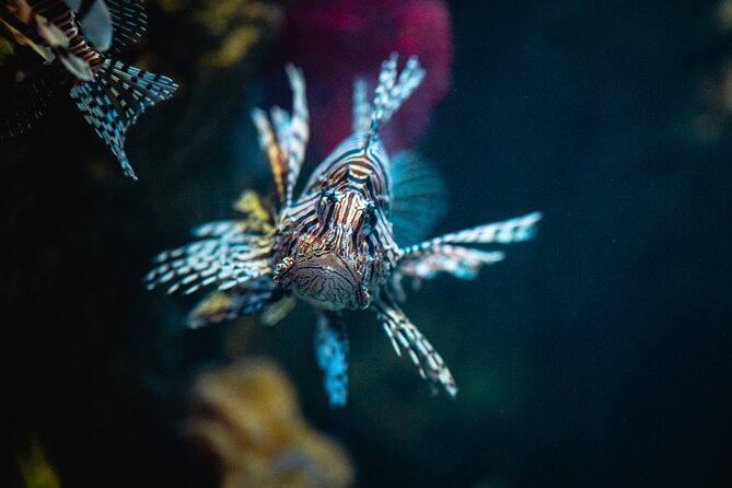 Malta National Aquarium Entrance Ticket - Cancellation and Flexibility Options