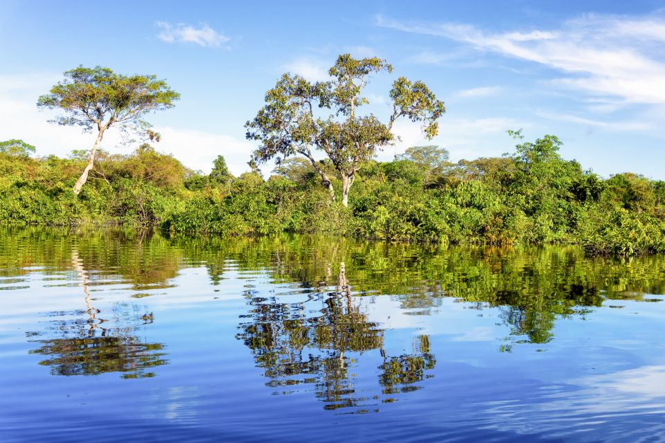 Manaus: Full-Day Tour on the Amazon River - Important Preparation Tips