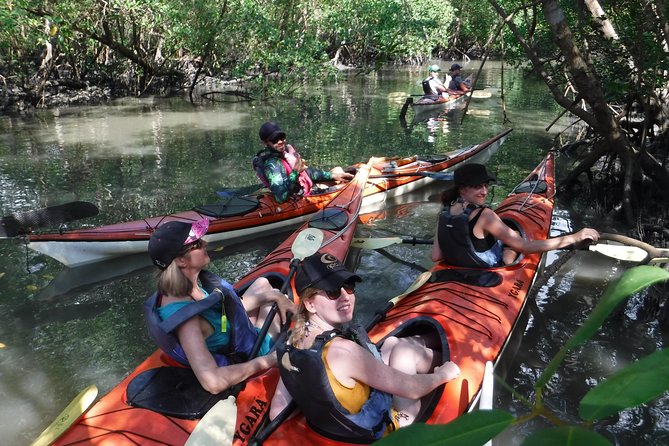 Mangrove, Beaches and Islands by Kayak Tour - Meeting Points and Schedule