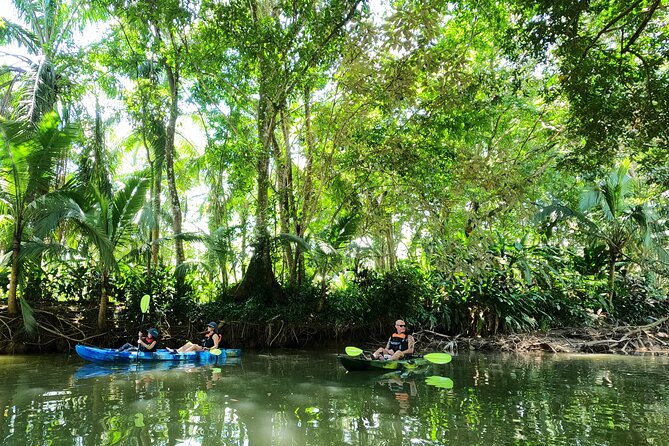Mangrove Kayak - Conservation Efforts