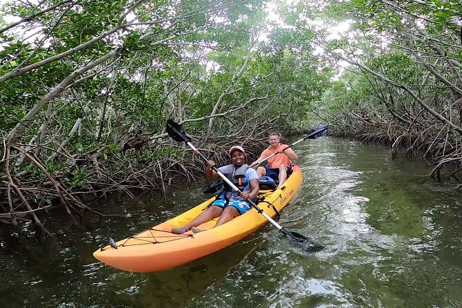 Mangroves and Manatees - Guided Kayak Eco Tour - Accessibility Information