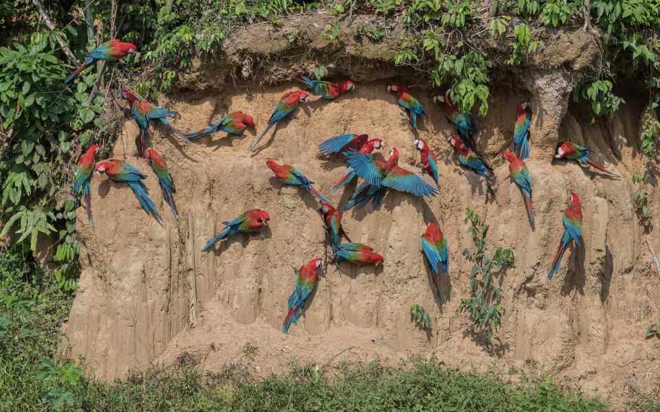 Manu Reserved Zone Tour 7 Days - Exploration of the Amazon Jungle