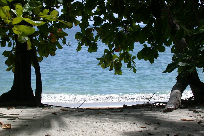 Manuel Antonio National Park Full Day Tour From San Jose - Beach Time Experience
