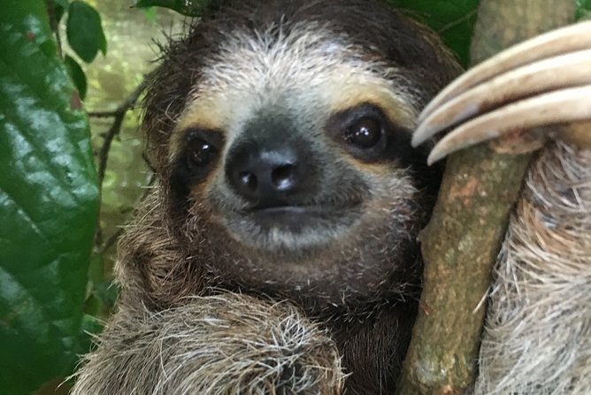 Manuel Antonio National Park Full Wildlife - Recommended Preparations