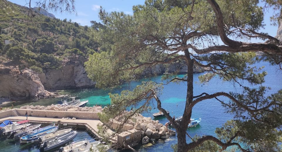 Marseille, Aix-en-Provence & Cassis 8-Hour Tour - Pricing Information