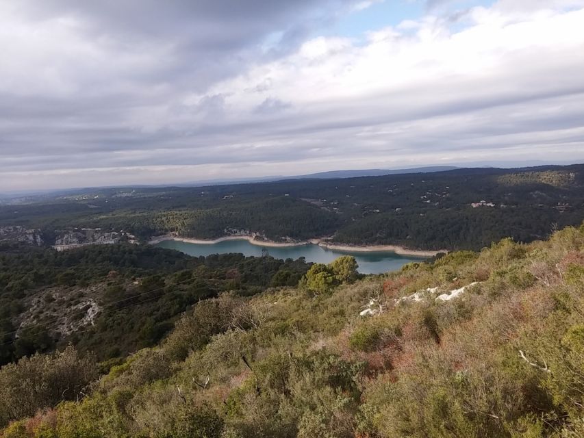 Marseille Vieux Port & Wine Tasting - Private Tour - Customer Reviews and Feedback